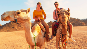 Rajasthan Tour Packages