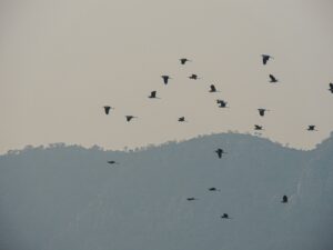 Jaipur Ajmer Pushkar Jodhpur Mandawa Tour