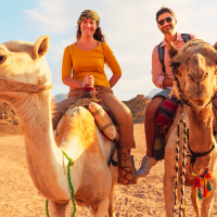 Rajasthan Tour Packages